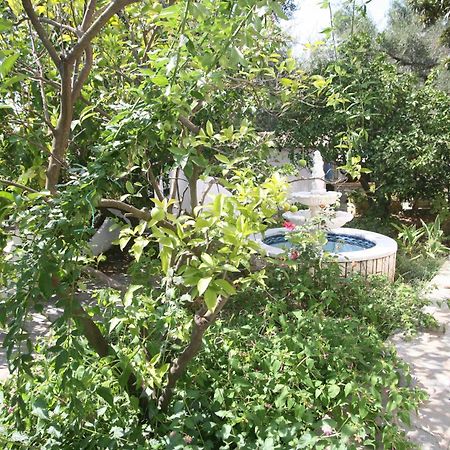 Villa Aphrodite Nissaki Nisaki  Extérieur photo